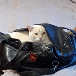 Meet your Posher, Hannah